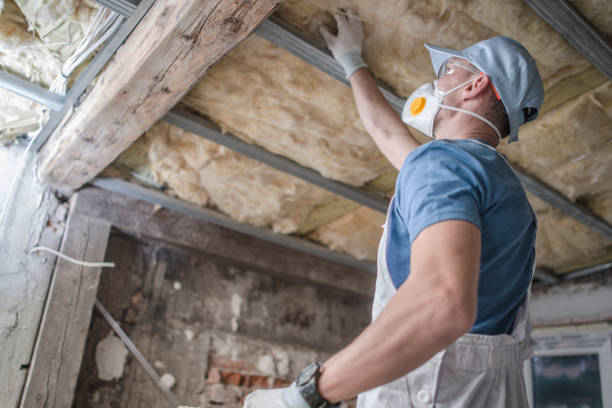Best Spray Foam Insulation in Gonzales, LA