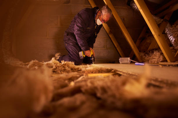 Best Energy Efficiency Insulation in Gonzales, LA